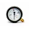 Manometr AR/CO 0-315 bar