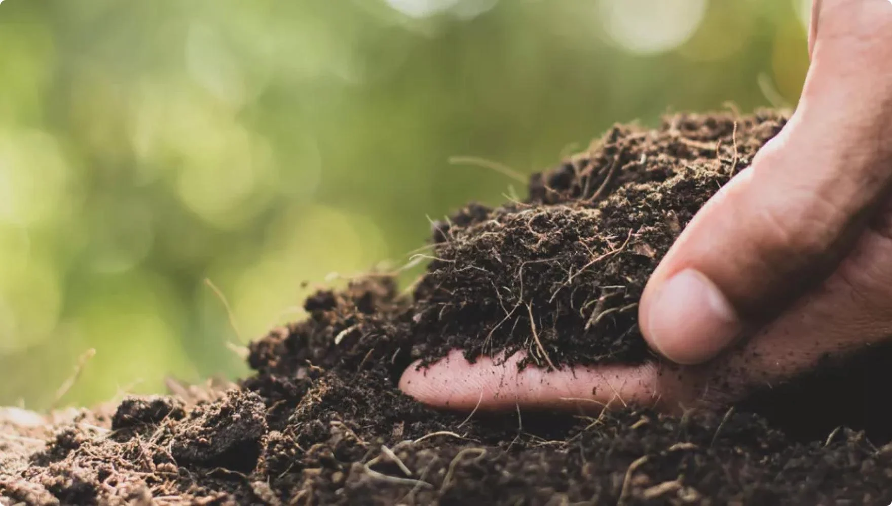 Czym jest glebogryzarka elektryczna? Wszystko, co powinieneś wiedzieć!